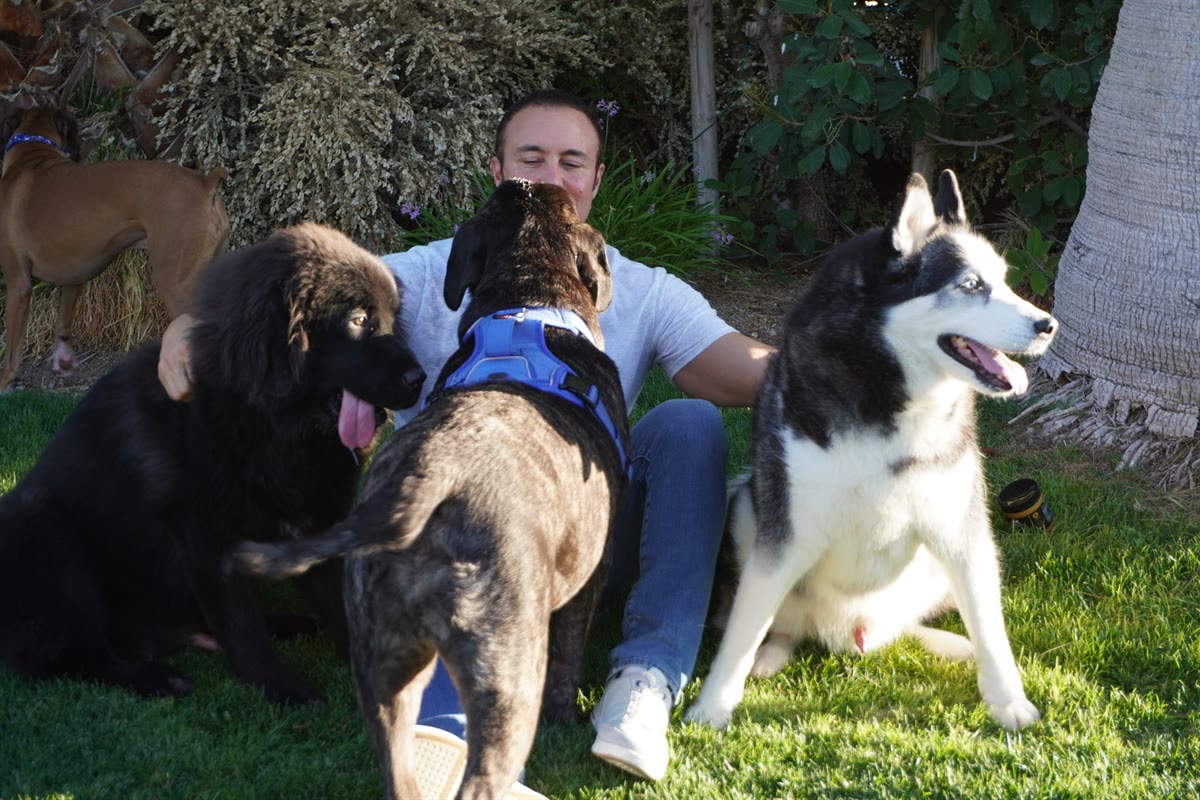 Furever Active Ranch - Giving dogs more healthy, happy years