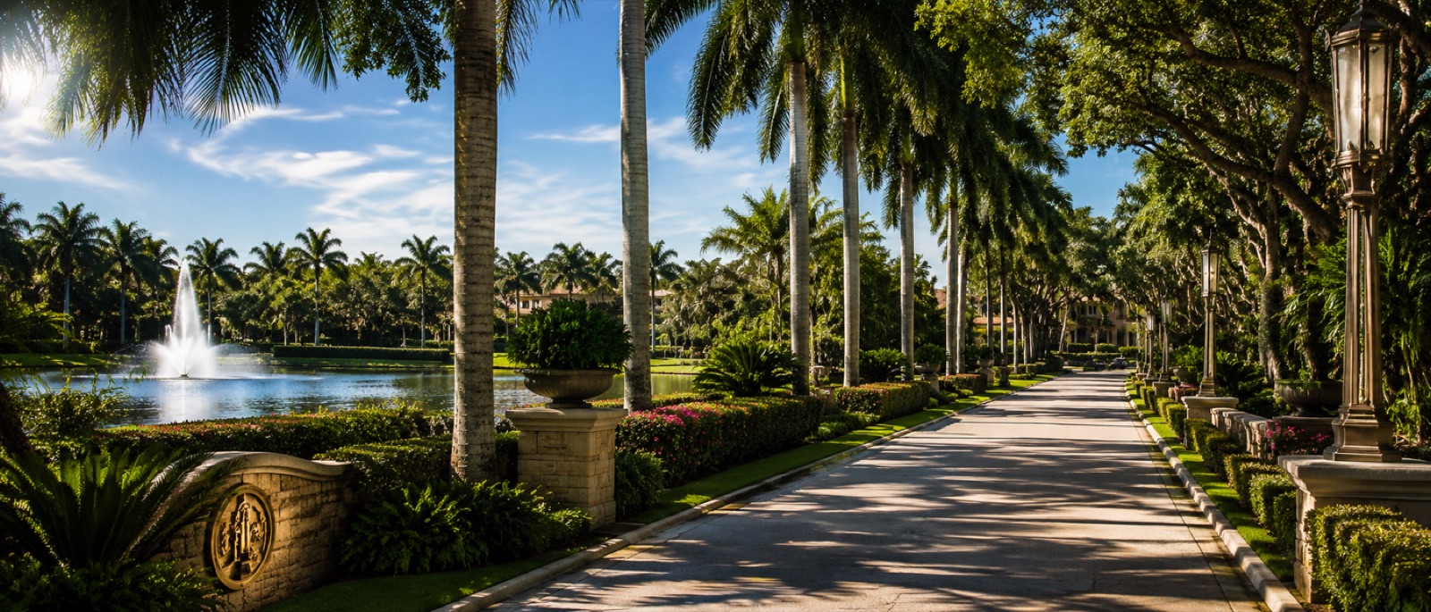 The palm-lined entrance drive into Wellington, Florida